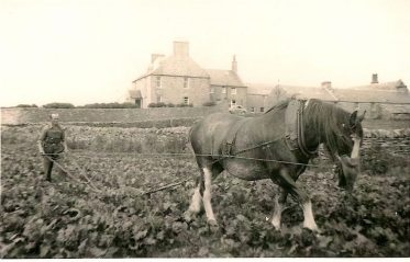 Farmer ploughing with horse at Holland Farm, Stronsay